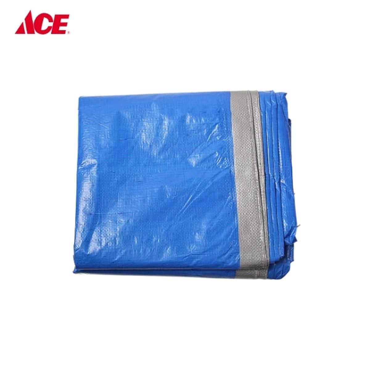 POLY CANVAS 10x12ft. Tarpaulin – Blue/Silver