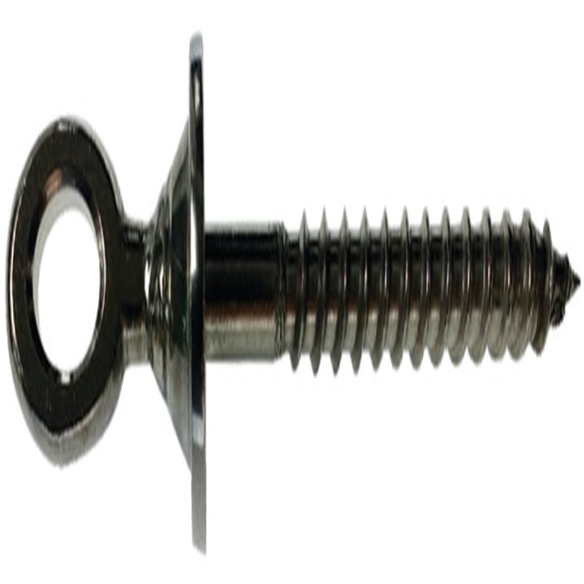 Ram Tail RT EL-01 Eye Lag Screw Stainless Steel